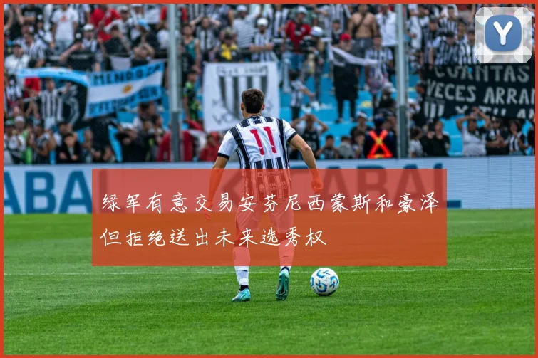 绿军有意交易安芬尼西蒙斯和豪泽但拒绝送出未来选秀权