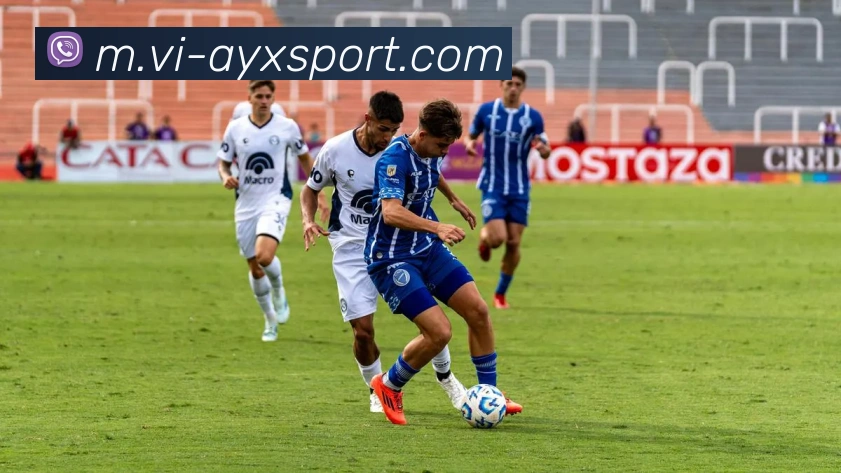 爱游戏体育平台生态图